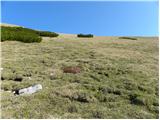 Tegoška planina - Pungartska gora